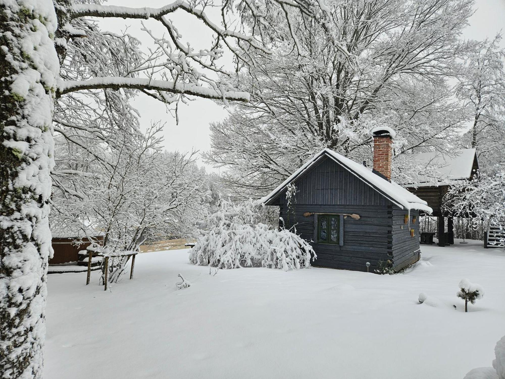 Soomaa Puhkekuela Hotel Riisa Buitenkant foto